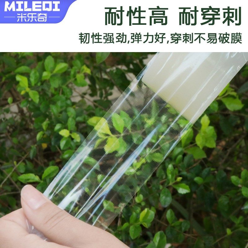 果树嫁接胶带农用pe薄膜透明缠绕免打结抗拉伸嫁接膜自粘式包扎带,淘宝优惠券,粉丝福利购,淘宝优惠卷
