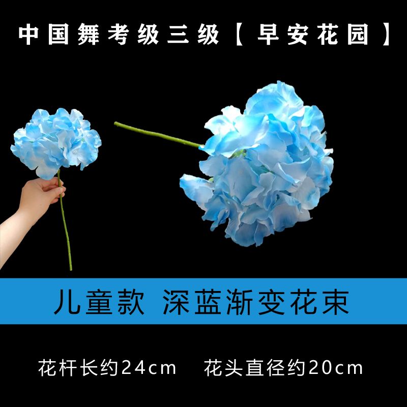 文旅部艺术中心中国舞考级第三级早安花园花朵一束国舞三级考级