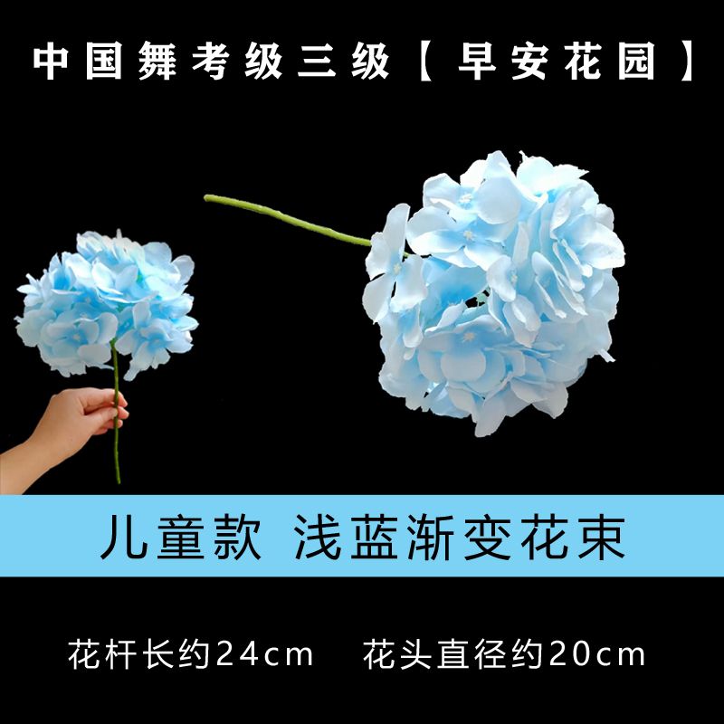 文旅部艺术中心中国舞考级第三级早安花园花朵一束国舞三级考级