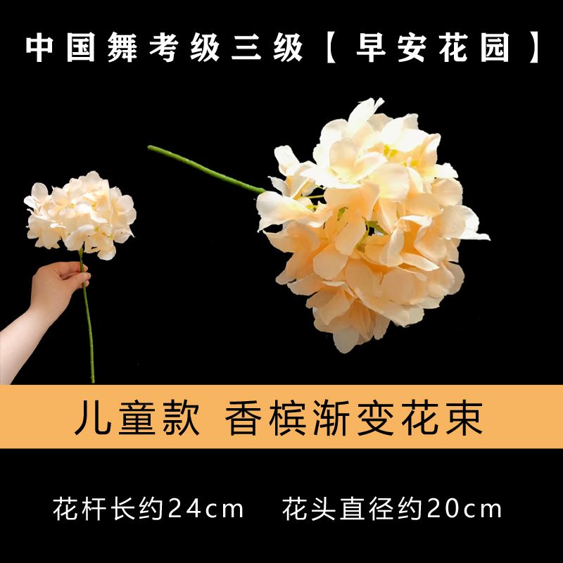 文旅部艺术中心中国舞考级第三级早安花园花朵一束国舞三级考级