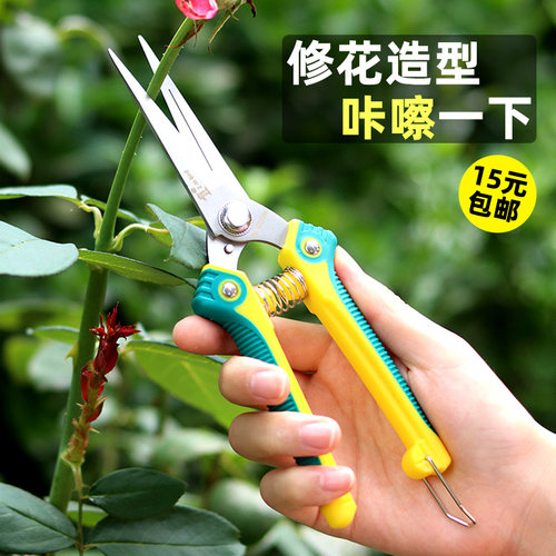 园艺修枝剪家用果树剪修花修枝花艺剪刀细枝剪盆景造型花剪子工具 - 图0
