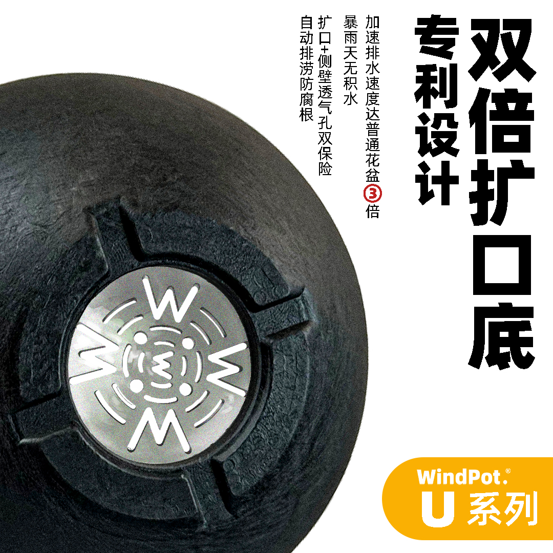 windpot U系列树脂花盆块根碗盆黑胶盆仙人球日式造景象牙宫 - 图0