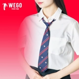 Японский галстук, студенческая юбка в складку, рубашка