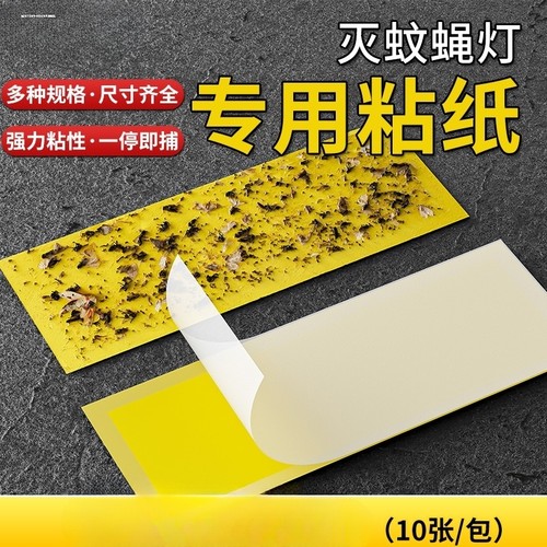 灭蝇纸粘捕式灭蝇灯专用粘蝇纸粘虫板贴纸蚊子灭蚊粘飞虫苍蝇纸板 - 图0