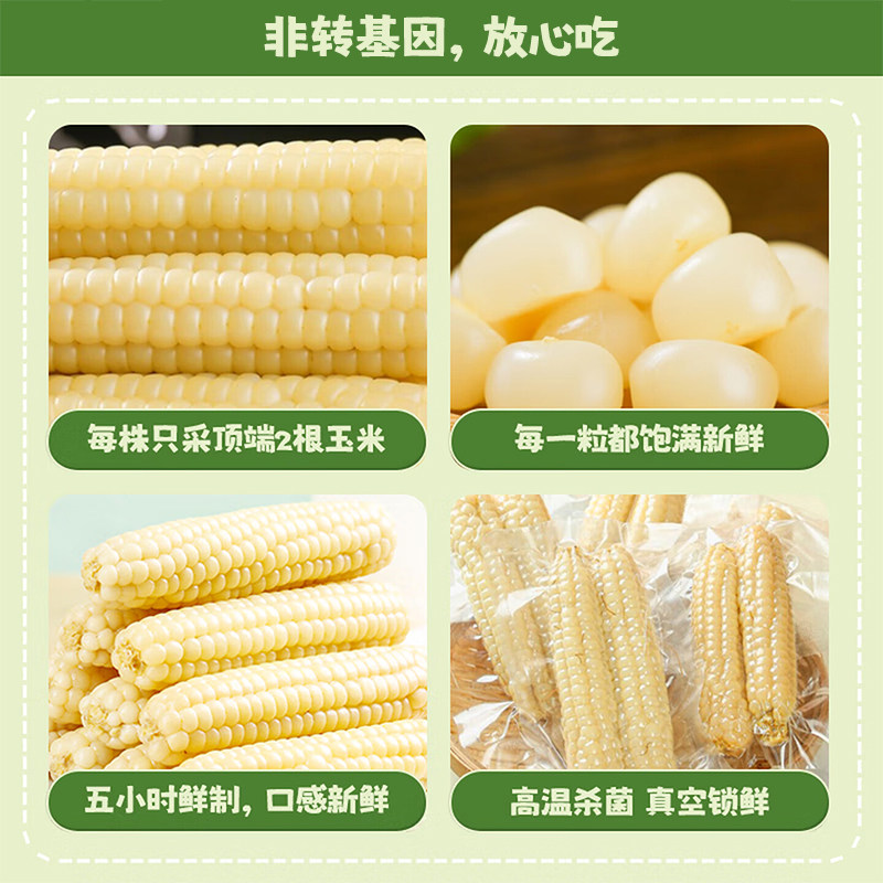 华田禾邦云南西双版纳拇指玉米儿童早餐旗舰店新鲜糯小手指玉米棒