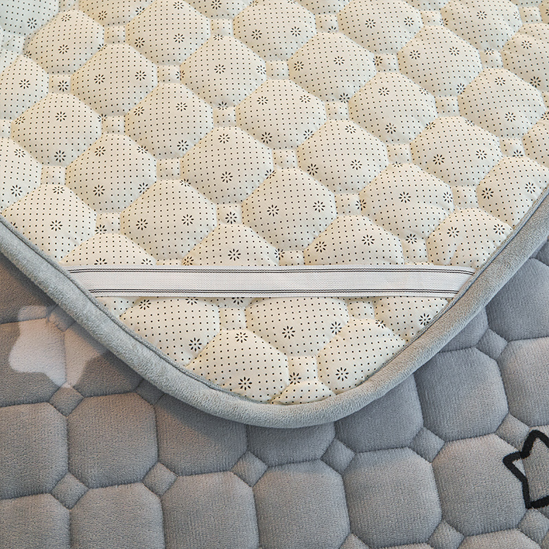 冬季牛奶绒牀垫软垫家用加厚褥子宿舍学生单人牀褥垫被毯子铺垫褥 - 图3