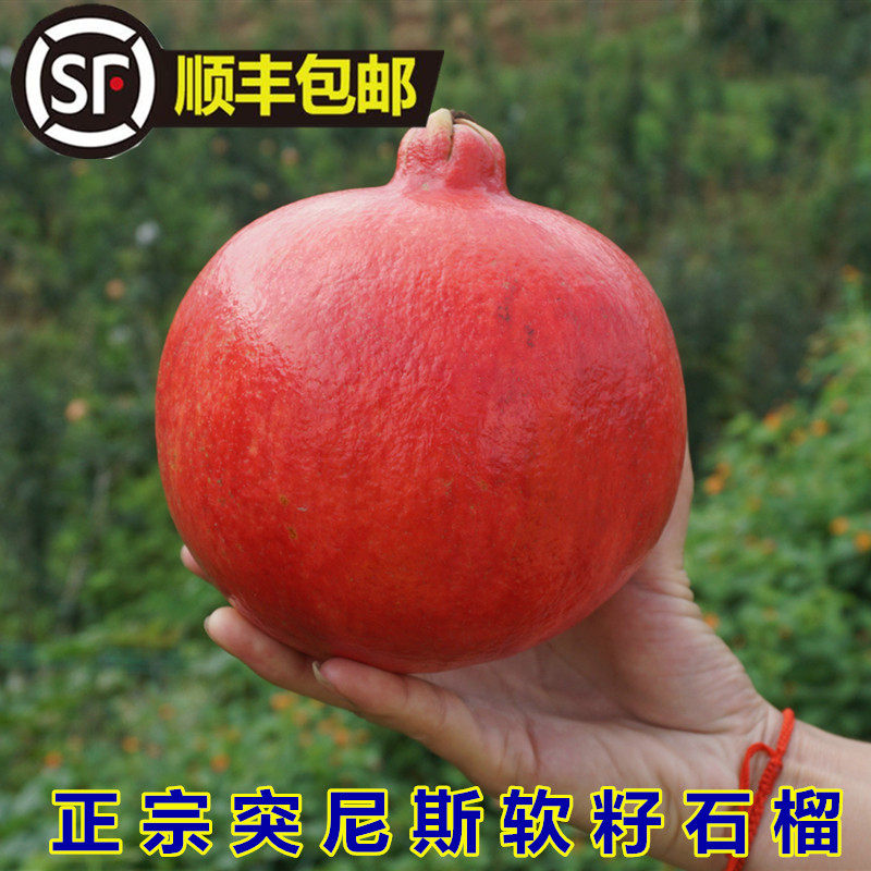 突尼斯软籽石榴树树苗盆栽地栽四季庭院果树无籽甜大红袍石榴果苗,淘宝优惠券,粉丝福利购,淘宝优惠卷