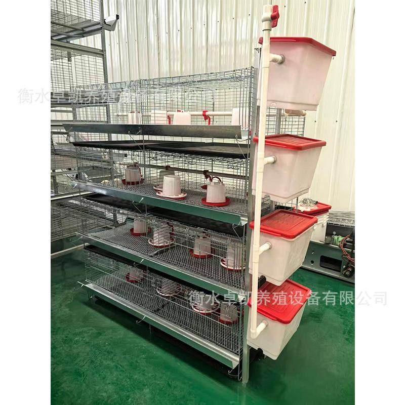 一体四层立式小鸡笼层叠式育雏笼自动化青年鸡笼养殖笼铁槽,淘宝优惠券,粉丝福利购,淘宝优惠卷
