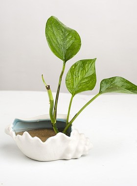 陶瓷珠宝首饰收纳盘轻奢耳环戒指手链珠宝可爱饰品展示盘床头厂家