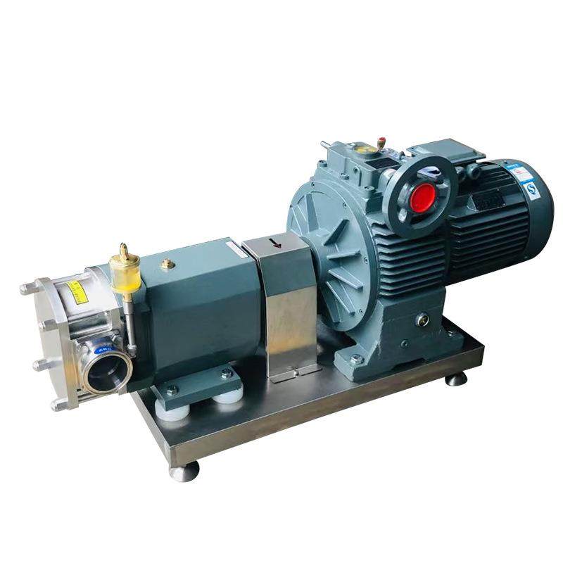 无极调速变频转子泵输送泵椰肉果肉果酱果汁输送电动泵头,淘宝优惠券,粉丝福利购,淘宝优惠卷