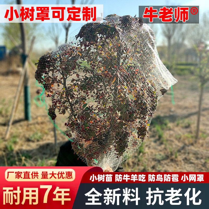 图5