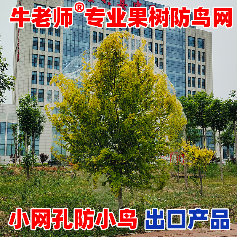 图5