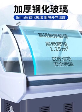 星星单温冷藏卧式熟食柜