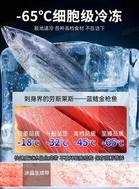 星星超低温全冷冻冰箱冻柜