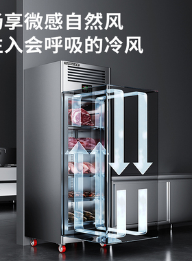 五羊智能解冻柜商用高压静电低温抑菌化冻机冷藏缓化猪羊牛排酸柜