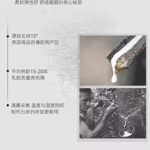 德国新款夏季冰丝乳胶床笠凉席单人夏软凉垫子学生床单三件套 - 图1