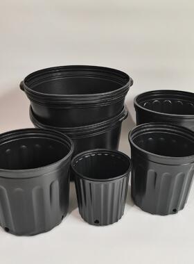 吹塑黑色加仑盆花卉苗圃实用简易花盆型号齐全高款矮款加仑盆