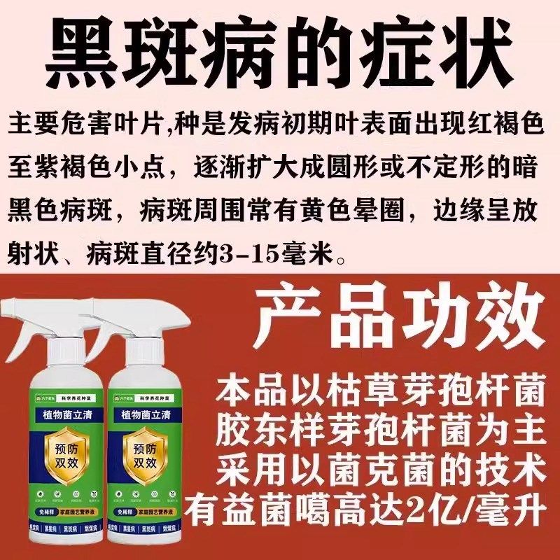 竹子专用肥料叶子发黄黑斑病卷叶掉叶真菌小叶簕竹子类专用营养液,淘宝优惠券,粉丝福利购,淘宝优惠卷