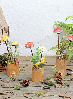 极速儿童桌c面卡通摆件幼儿园森系装饰景观别墅庭院花园植物角蘑