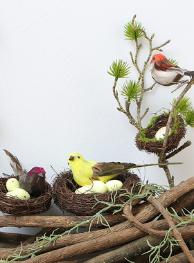 极速桌面摆件幼儿园森系仿真小鸟造景G环创材料植物角摆设教室庭