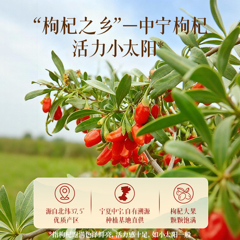 椰泰轻上枸杞杏皮茶果味饮料0脂健康四季常润饮品送礼推荐正品,淘宝优惠券,粉丝福利购,淘宝优惠卷