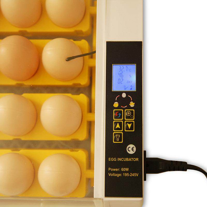 家用智能孵化器小鸡养殖孵化设备24枚鸡蛋家禽孵化机鸟类孵蛋器,淘宝优惠券,粉丝福利购,淘宝优惠卷