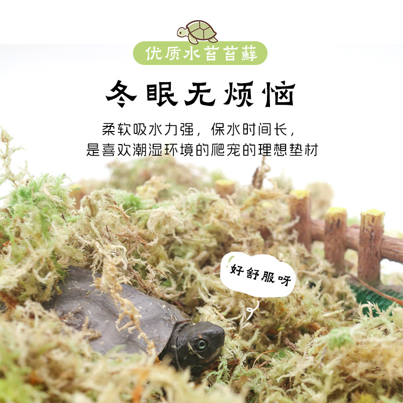 乌龟专用特优高保湿苔藓～不积水冬眠新手垫材垫料冬眠,淘宝优惠券,粉丝福利购,淘宝优惠卷