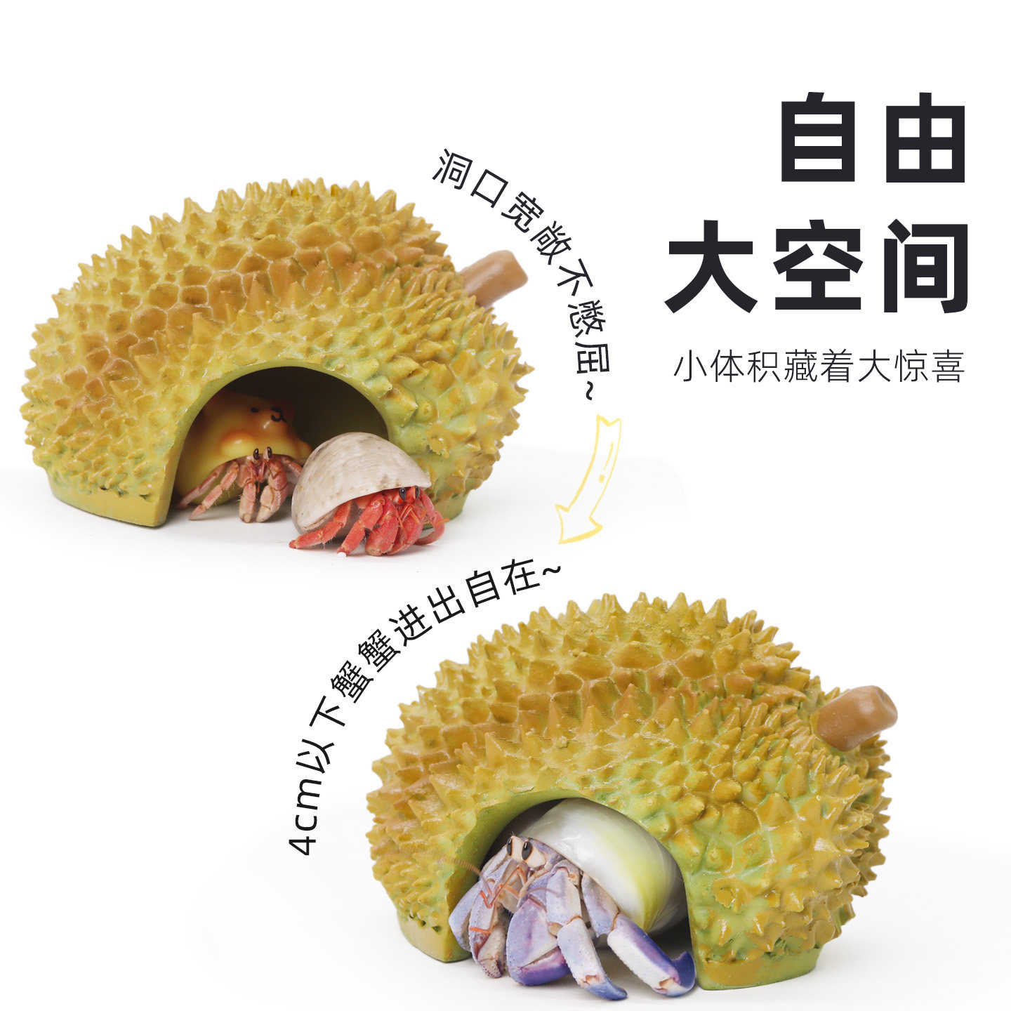 寄居蟹榴莲躲避窝～水果树脂大口径躲避屋造景饲养箱缸豆丁螃蟹,淘宝优惠券,粉丝福利购,淘宝优惠卷
