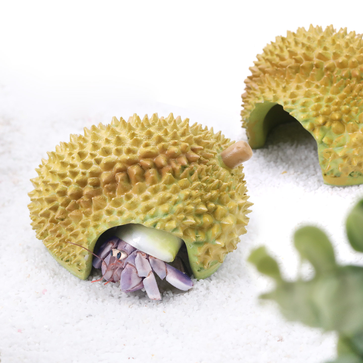 寄居蟹榴莲躲避窝～水果树脂大口径躲避屋造景饲养箱缸豆丁螃蟹,淘宝优惠券,粉丝福利购,淘宝优惠卷