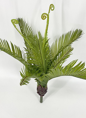 新品北欧风室内铁树o仿真植物假花绿植小盆栽婚庆摄影摆件客厅落