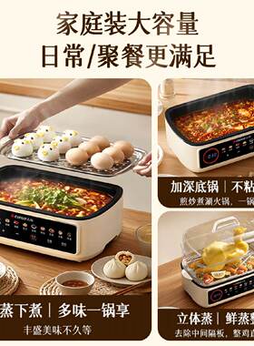 110v不锈钢电蒸锅家用多