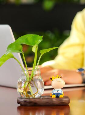 蕊杰创意工艺品家居仰望星空摆件插花水培绿萝花瓶办公桌上装饰品