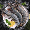 Zhoushan Black Tiger Shrimp Fresh Extra Large Shrimp Live Frozen Fresh Tiger Shrimp Chilled Prawn Fresh Sea Shrimp Frozen Seafood