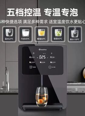 惠尔顿管线机家用直饮机壁挂式即热净水加热一体嵌入式饮水机H6