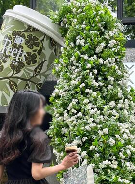 网红打卡奶茶杯模型巨大摆件美陈