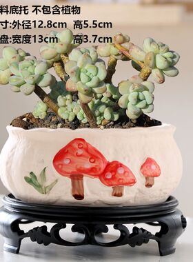 特价清仓多肉花盆陶瓷创意老桩粗陶透气家用阳台绿植兰花专用花盆