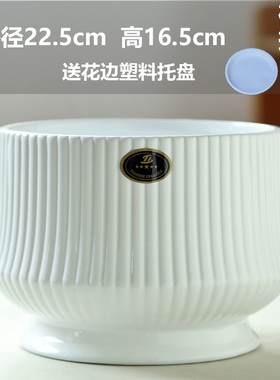 清仓捡漏大口径陶瓷花盆特大号家用透气绿植蝴蝶兰文竹肉肉专用盆