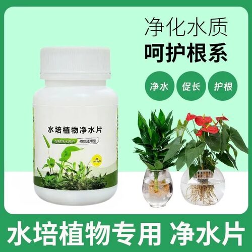 水培植物净水片除臭杀菌消毒富贵竹碗睡莲专用净化水质鲜花保鲜片 - 图0