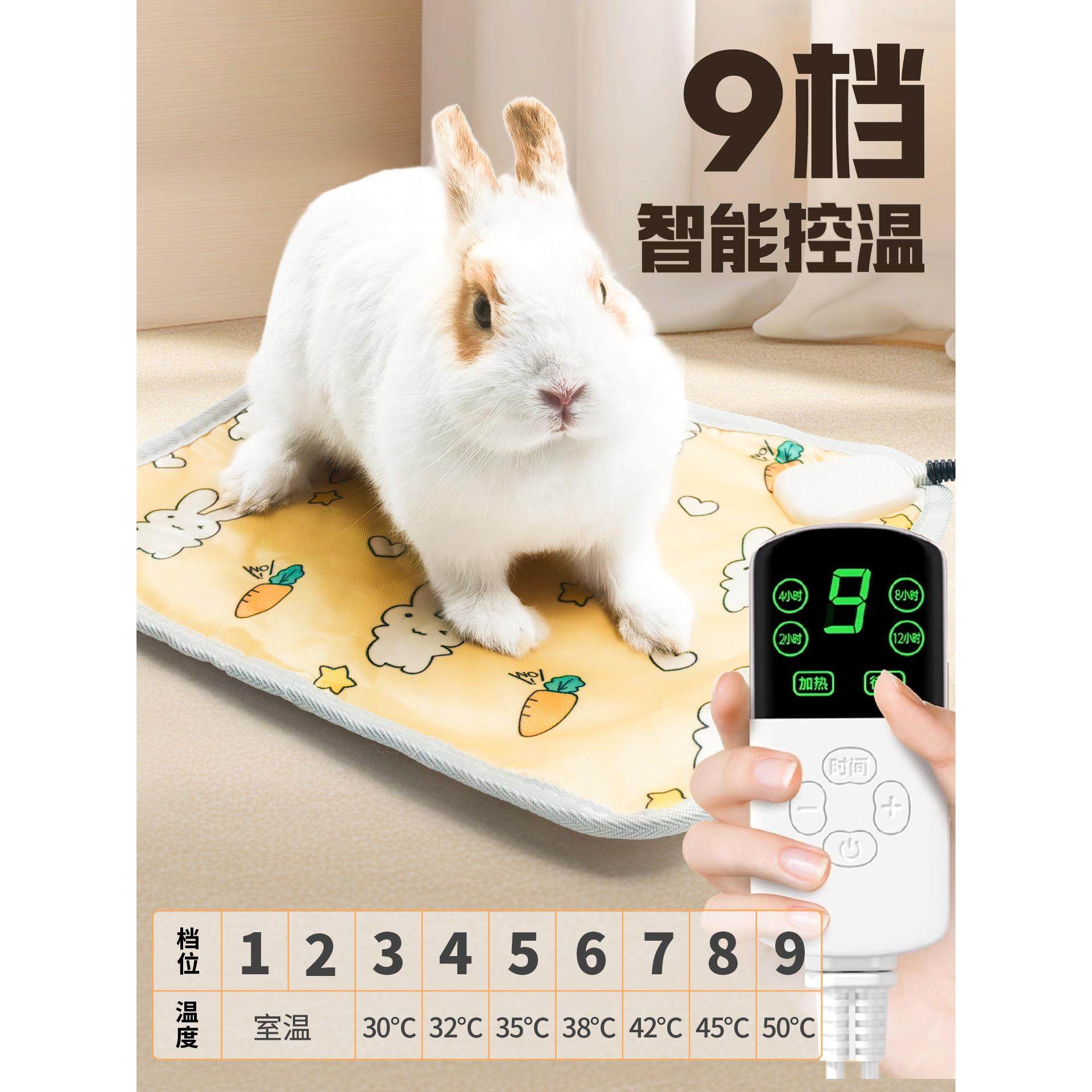 宠物电热毯兔子冬天保暖窝取暖器恒温加热垫龙猫荷兰猪过冬用品,淘宝优惠券,粉丝福利购,淘宝优惠卷