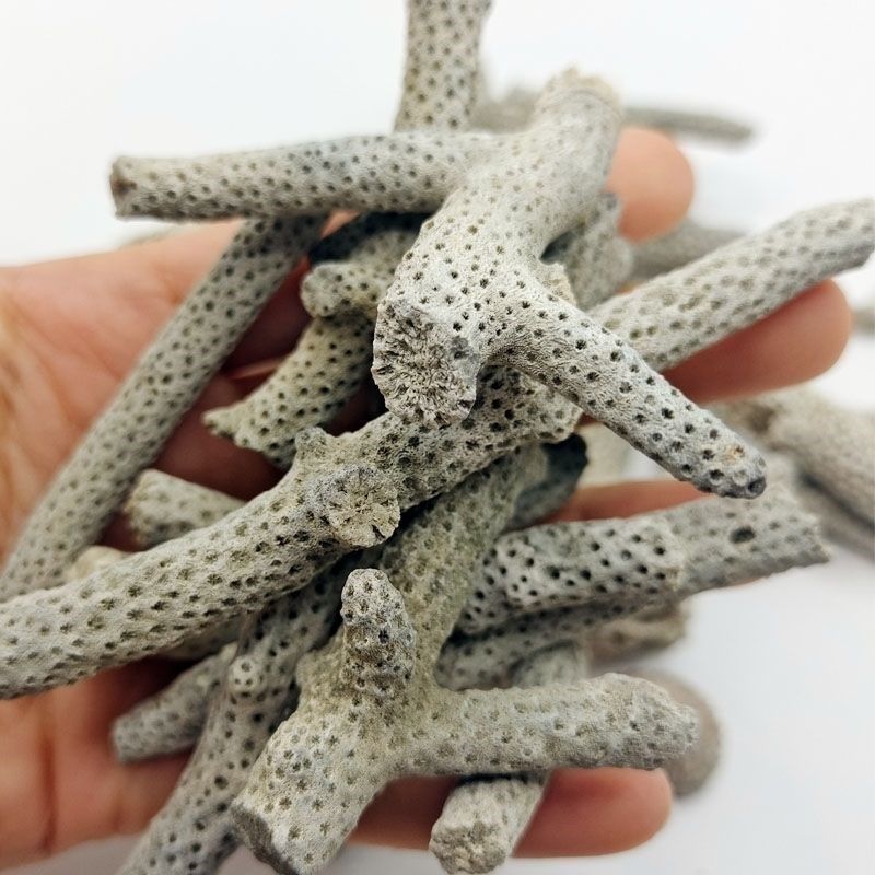 精品大号优质珊瑚骨鱼缸滤材优质珊瑚砂珊瑚石碎装饰造景净化水质,淘宝优惠券,粉丝福利购,淘宝优惠卷