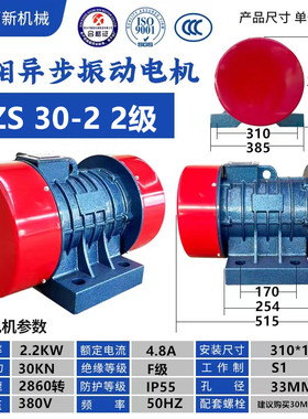 380V振动电机振动筛脱水筛震动电机仓壁振动器给料机振动平台46级