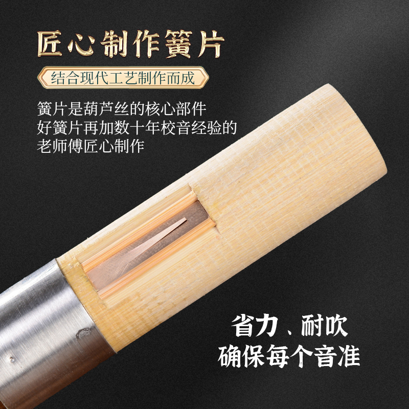 滇南古韵葫芦丝C调小学生专用降B调小DAGF成人儿童初学乐器旗舰店 - 图0