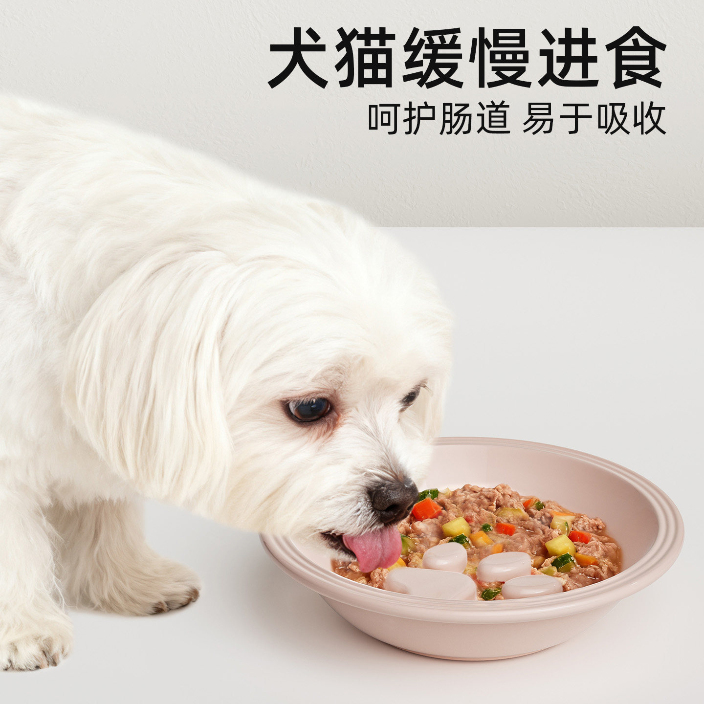 狗狗慢食碗宠物碗陶瓷猫碗猫咪吃饭喝水碗防噎缓食盆小型犬慢食盆,淘宝优惠券,粉丝福利购,淘宝优惠卷