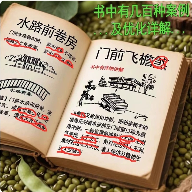 Illustrated Yangzhai Encyclopedia Detailed explanation of modern houses and residences vernacular teaching book