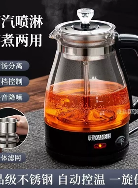 德国进口安化黑茶专用全自动蒸汽