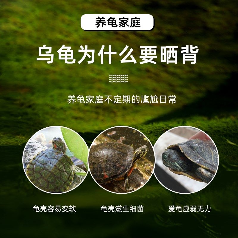 乌龟缸晒台爬台躲避屋龟缸过滤爬梯造景别墅爬宠休息喂食晒背平台,淘宝优惠券,粉丝福利购,淘宝优惠卷