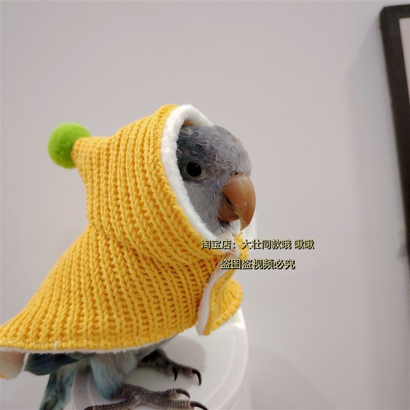 毛衣款鹦鹉披风斗篷鸟衣服鹦鹉披风玄凤加厚保暖外出服鹦鹉用品,淘宝优惠券,粉丝福利购,淘宝优惠卷