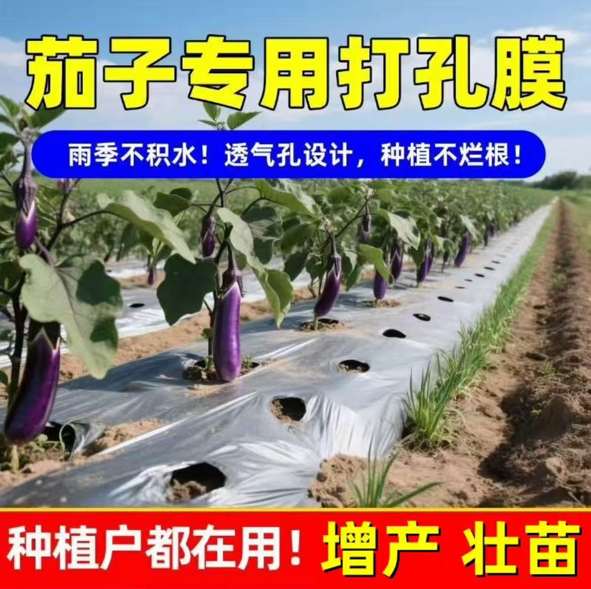 农用银黑双色打孔蔬菜地膜银黑地膜草莓辣椒西红柿各种孔洞,淘宝优惠券,粉丝福利购,淘宝优惠卷