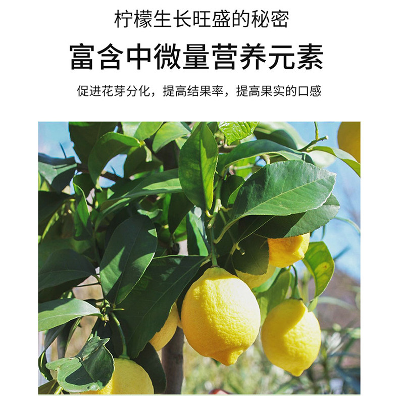 柠檬树肥料专用肥营养液青柠檬盆栽家用植物果树养花通用型花肥料,淘宝优惠券,粉丝福利购,淘宝优惠卷
