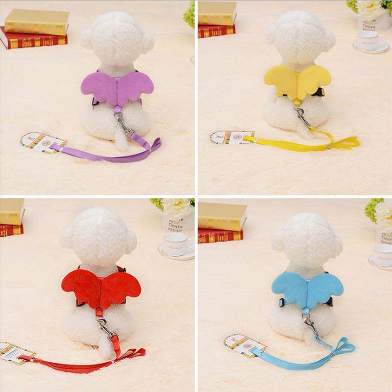 天使翅膀狗狗牵引绳遛狗猫咪胸背带宠物外出兔子泰迪比熊小型犬带,淘宝优惠券,粉丝福利购,淘宝优惠卷